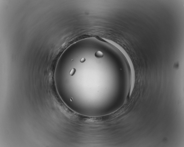 X0000112110568200908111445