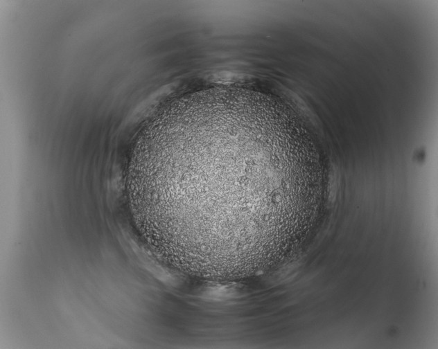 X0000112110569200908111445