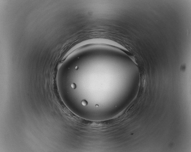 X0000112110570200908111445