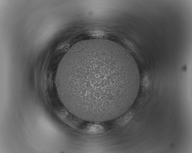 X0000112110572200908111445