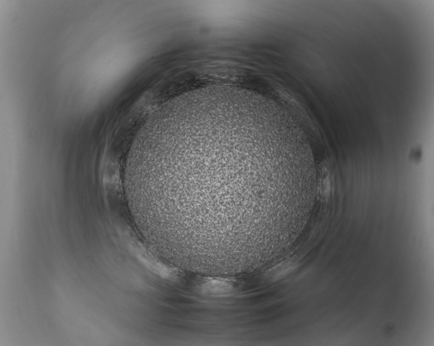 X0000112110573200908111445