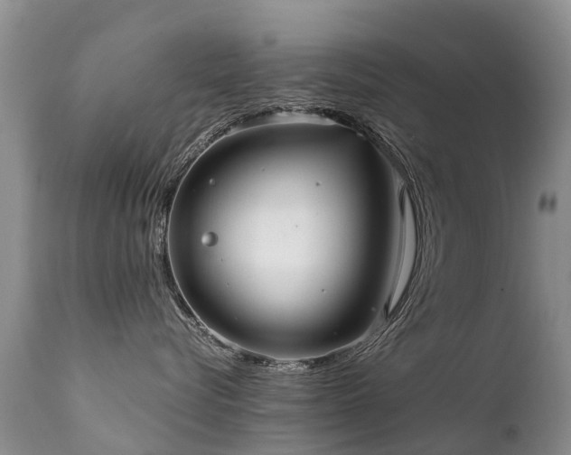 X0000112110576200908111445