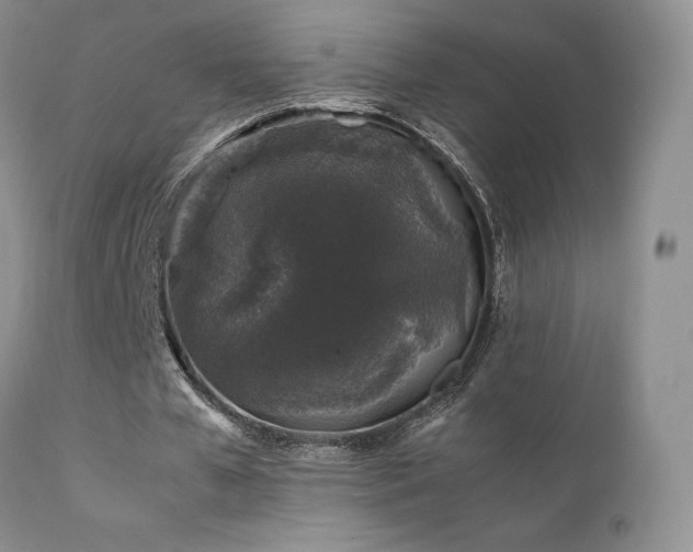 X0000112110577200908111444