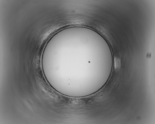 X0000112110579200908111444