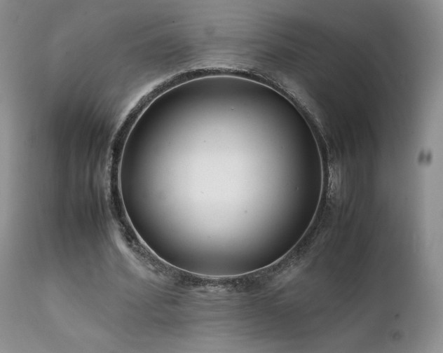 X0000112110580200908111444