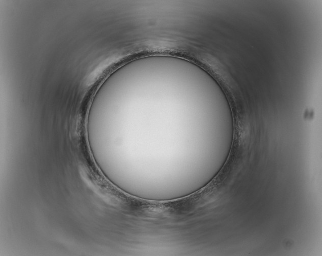 X0000112110583200908111444