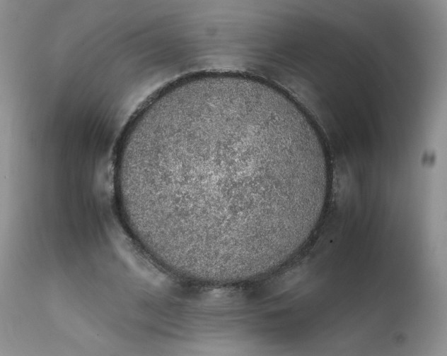 X0000112110584200908111444