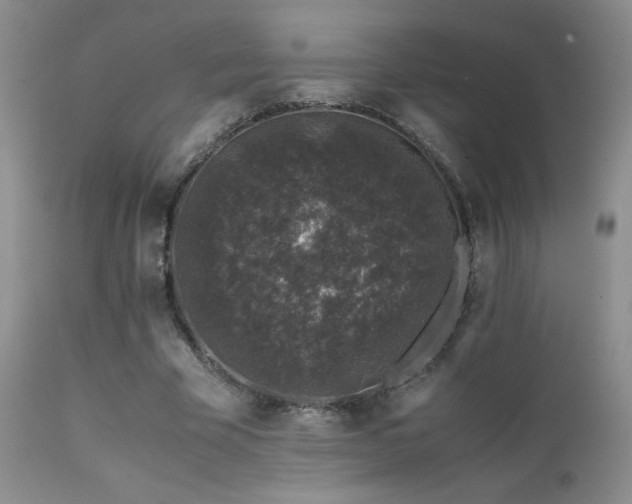 X0000112110585200908111444