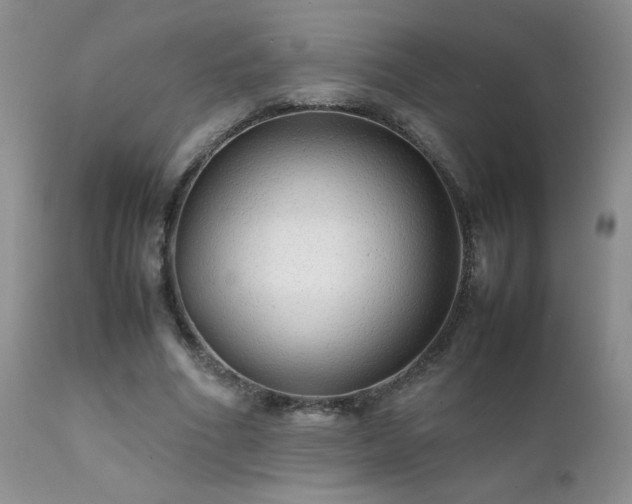 X0000112110586200908111444