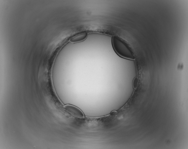 X0000112110587200908111444