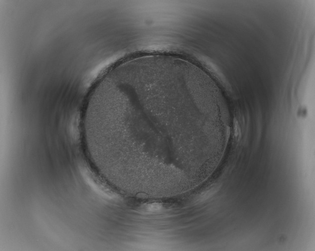 X0000112110588200908111444