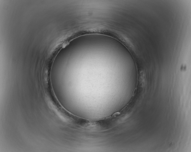 X0000112110589200908111444