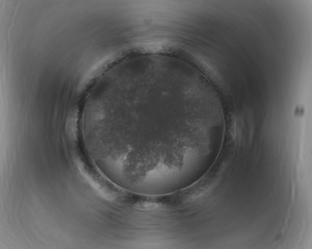 X0000112110590200908111444