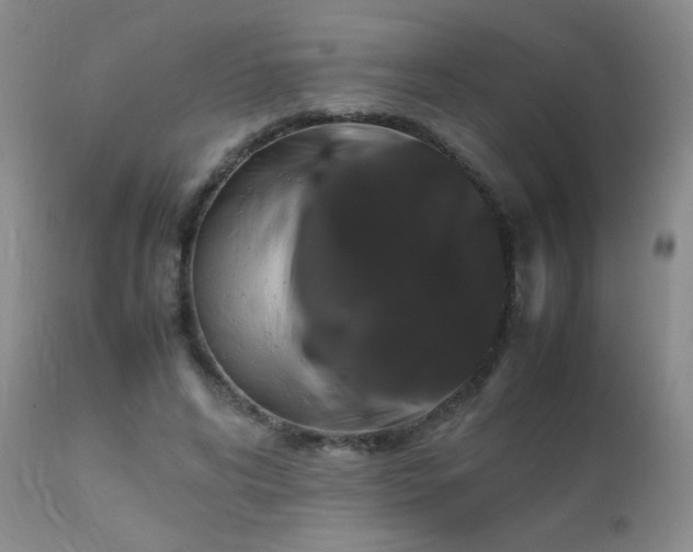 X0000112110592200908111444