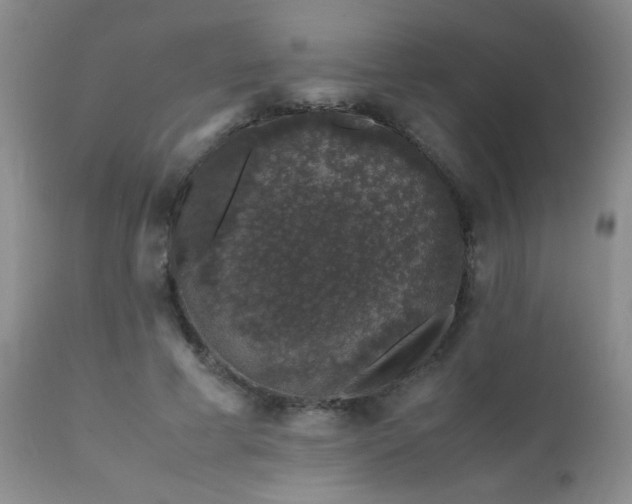 X0000112110593200908111444