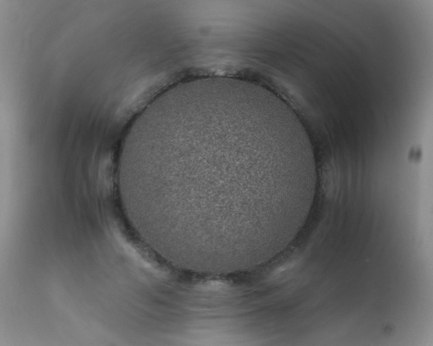 X0000112110594200908111444