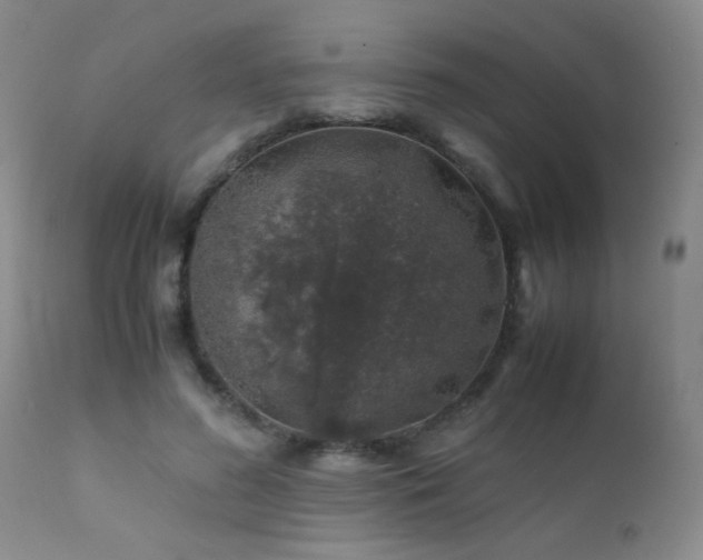 X0000112110596200908111444