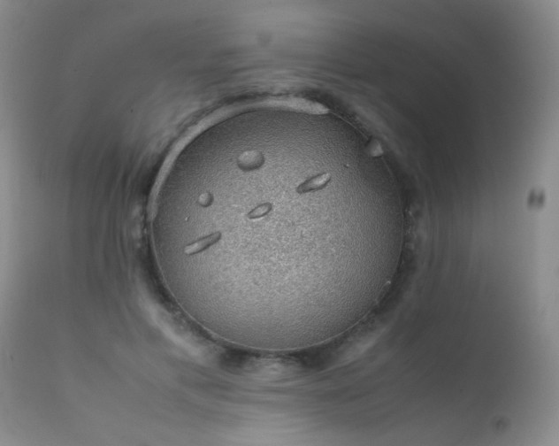 X0000112110597200908111444