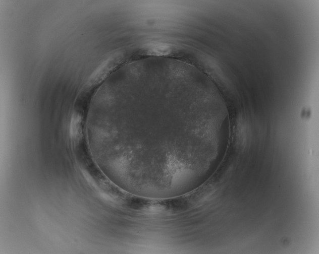 X0000112110598200908111444