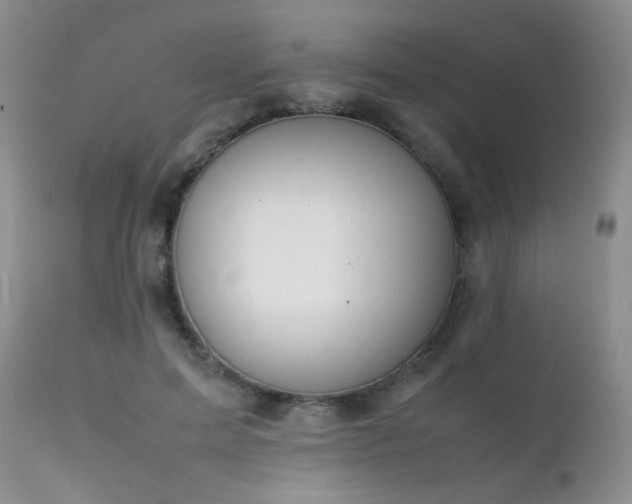 X0000112110599200908111444