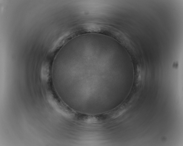 X0000112110600200908111444