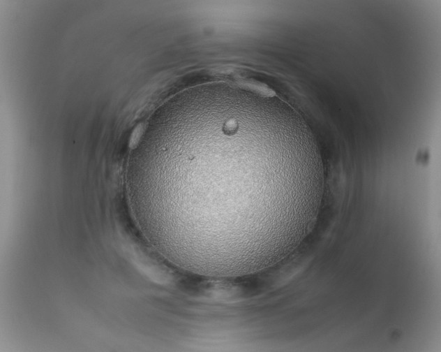 X0000112110601200908111444