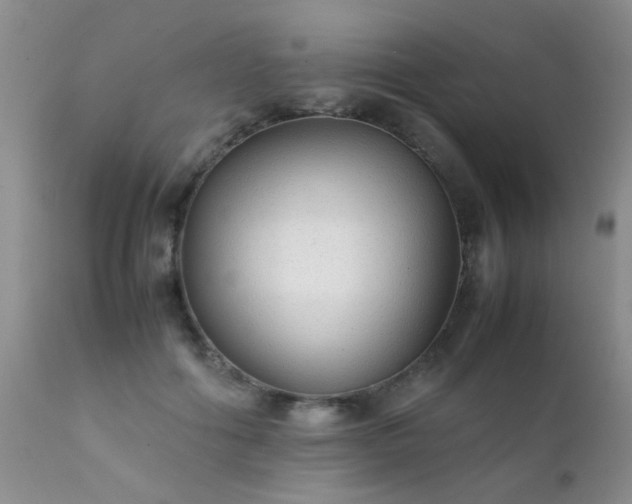 X0000112110602200908111444