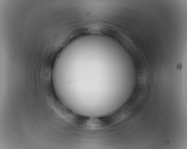 X0000112110603200908111444