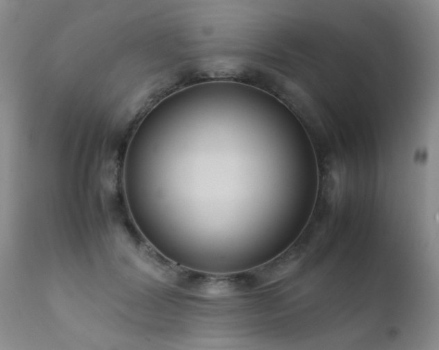 X0000112110604200908111444