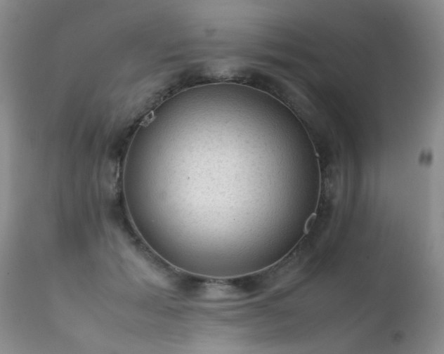 X0000112110605200908111444