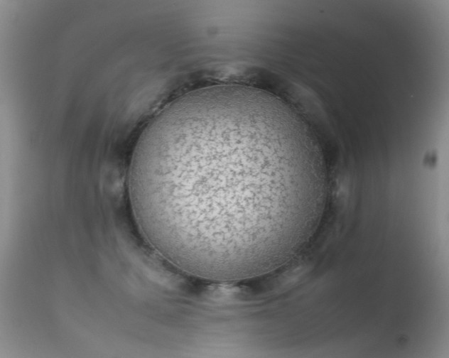 X0000112110607200908111444