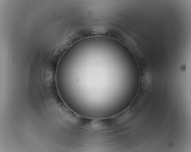 X0000112110608200908111444