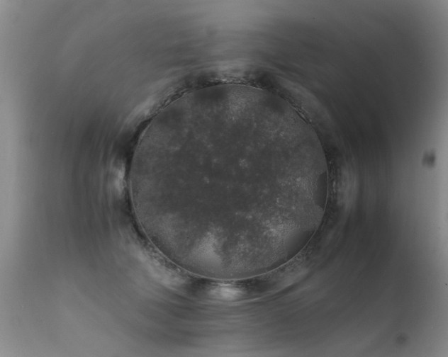 X0000112110610200908111444