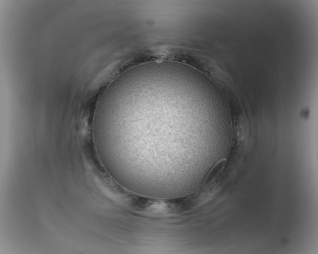 X0000112110611200908111444