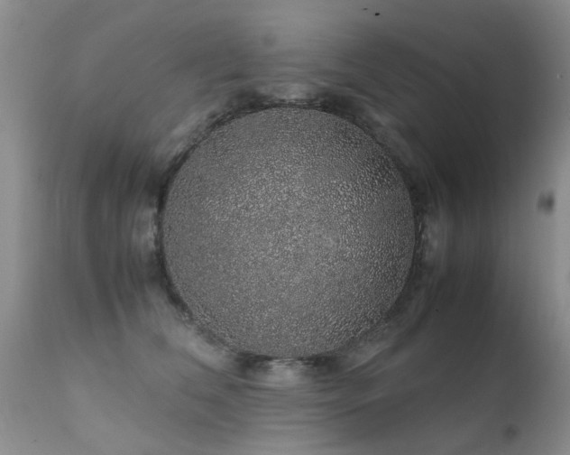 X0000112110612200908111444