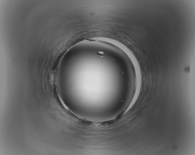 X0000112110613200908111444