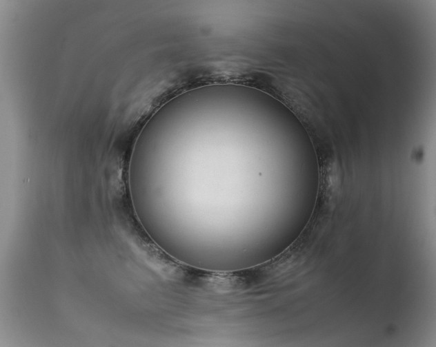 X0000112110615200908111444