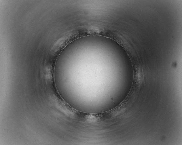 X0000112110616200908111444