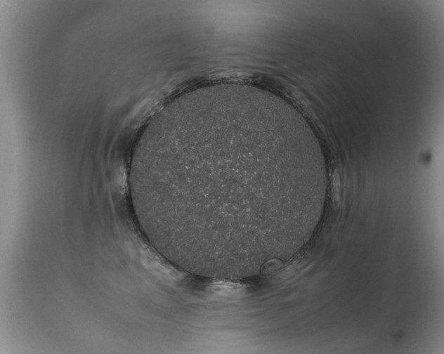 X0000112110617200908111444