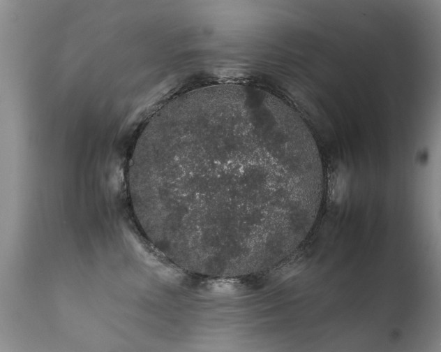 X0000112110618200908111444