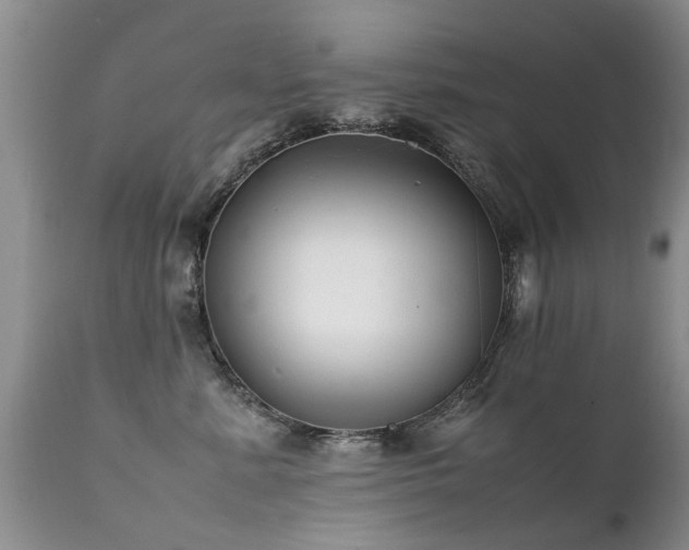 X0000112110619200908111444