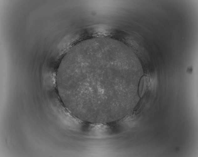 X0000112110621200908111444