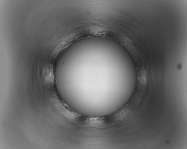 X0000112110622200908111444