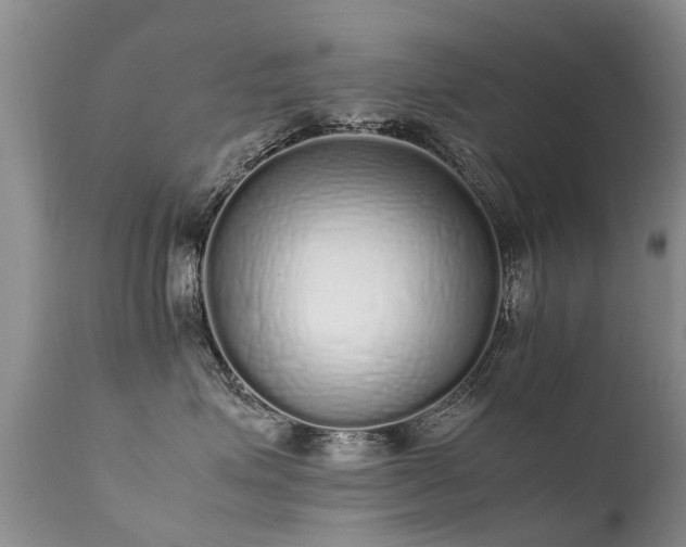 X0000112110623200908111444