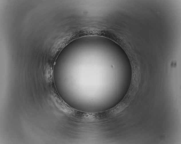 X0000112110624200908111444