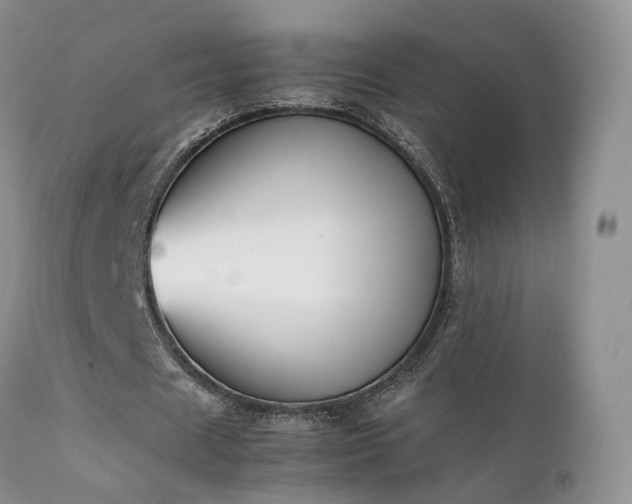 X0000112110625200908111443