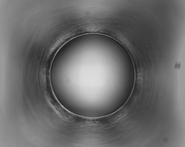 X0000112110626200908111443