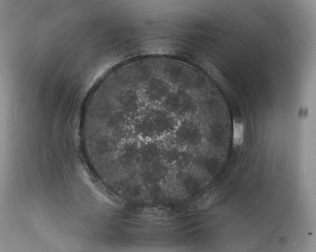 X0000112110627200908111443