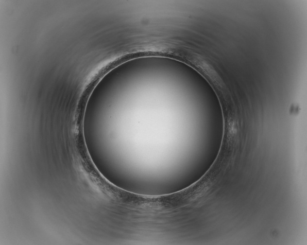 X0000112110628200908111443