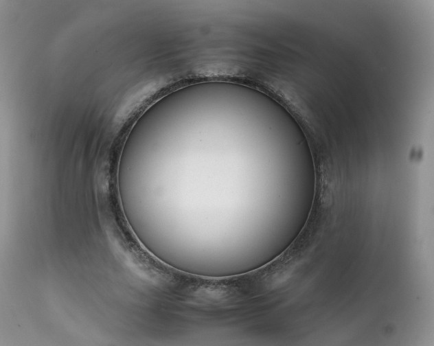 X0000112110631200908111443